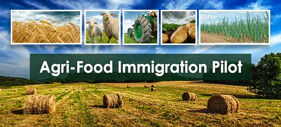 加拿大农业食品项目